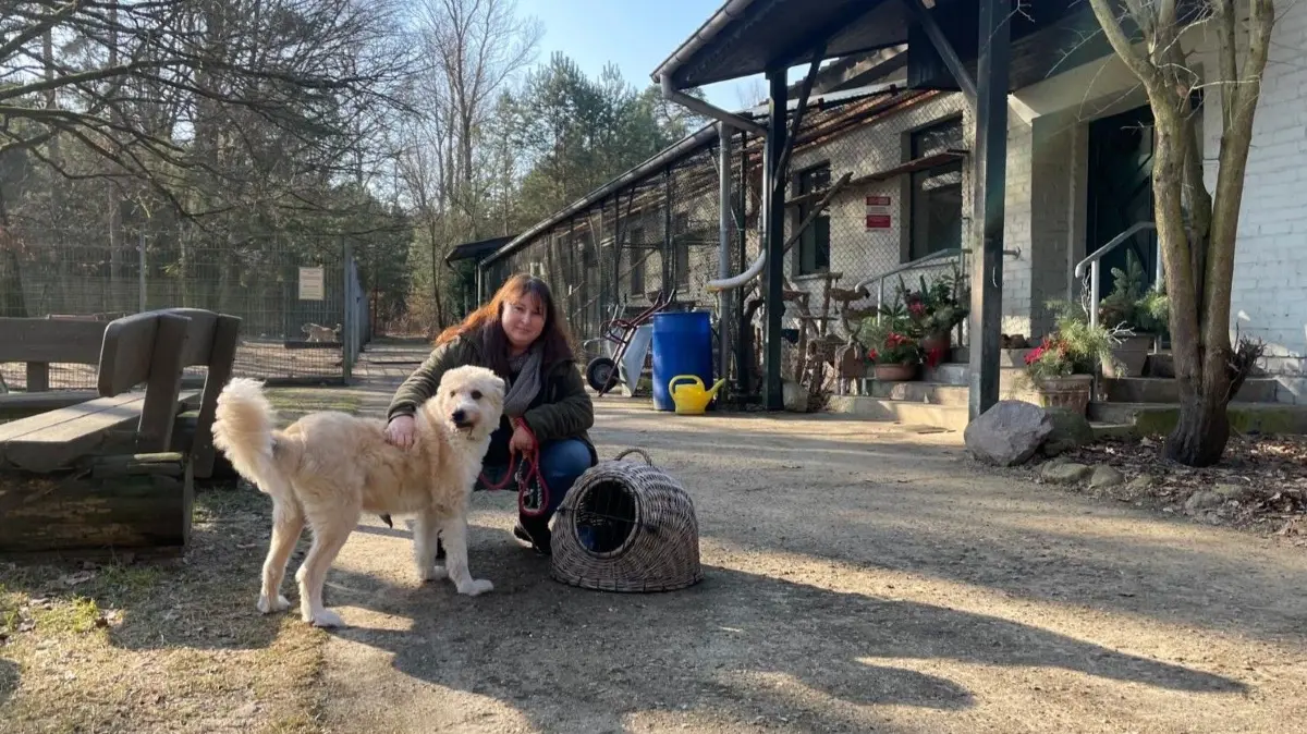 Glück im Unglück – nach dem Verlust ihrer Besitzerin werden Hund Joshi und Katze Tasmi gemeinsam von Karolin Lisiecki und Familie aus dem Tierheim Fürstenwalde abgeholt und adoptiert.