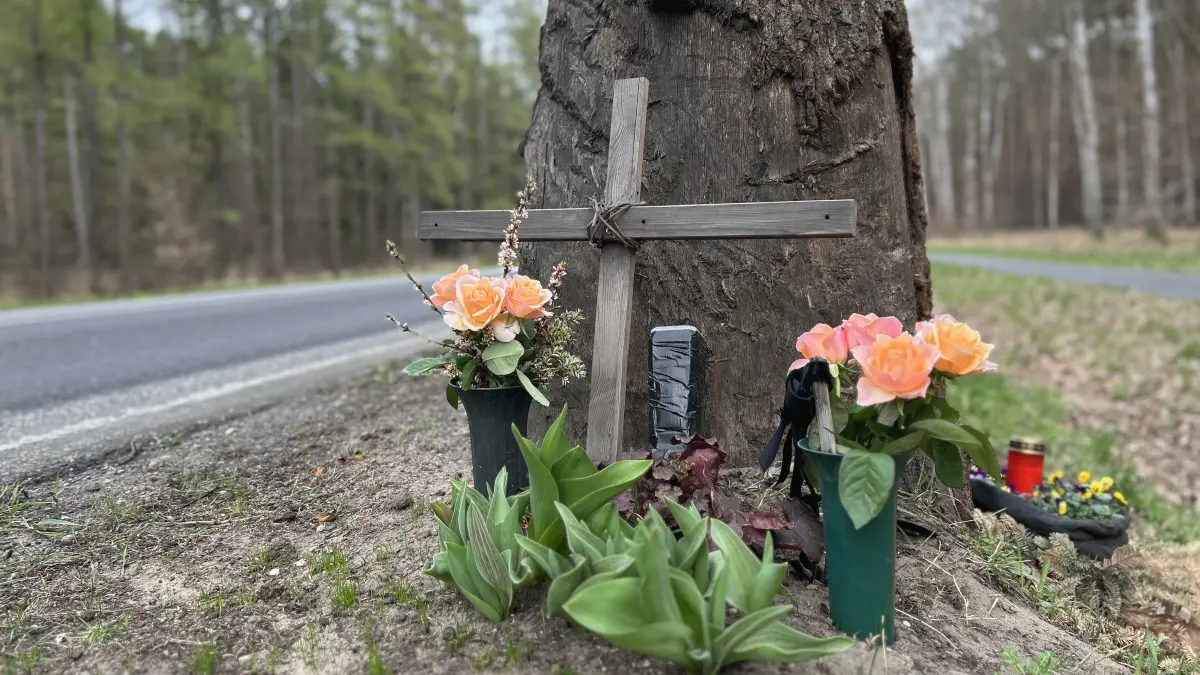 Zwei Kreuze an einem Baum an der Landesstraße 38 kurz vor dem Grünheider Ortsteil Hangelsberg.