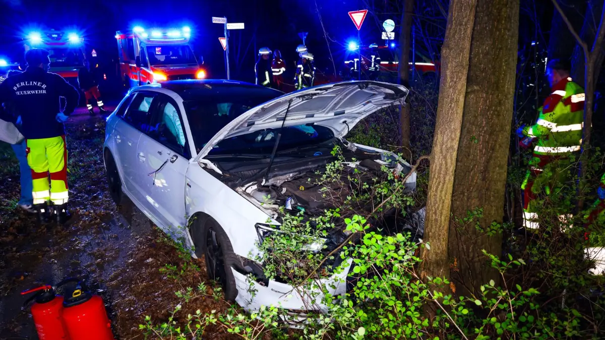 Der Audi fuhr beim Ausweichmanöver gegen einen Straßenbaum.