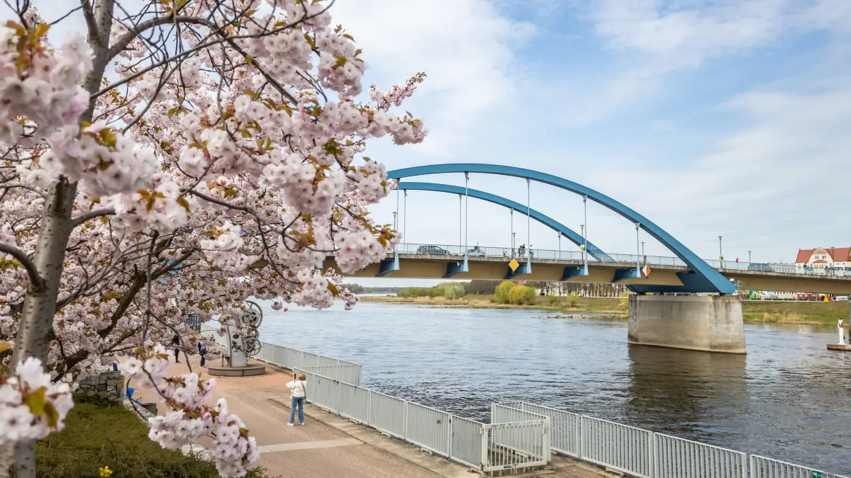 Blick auf die Stadtbrücke in Frankfurt (Oder): Wie geht es mit dem Thema zweite Brücke weiter?