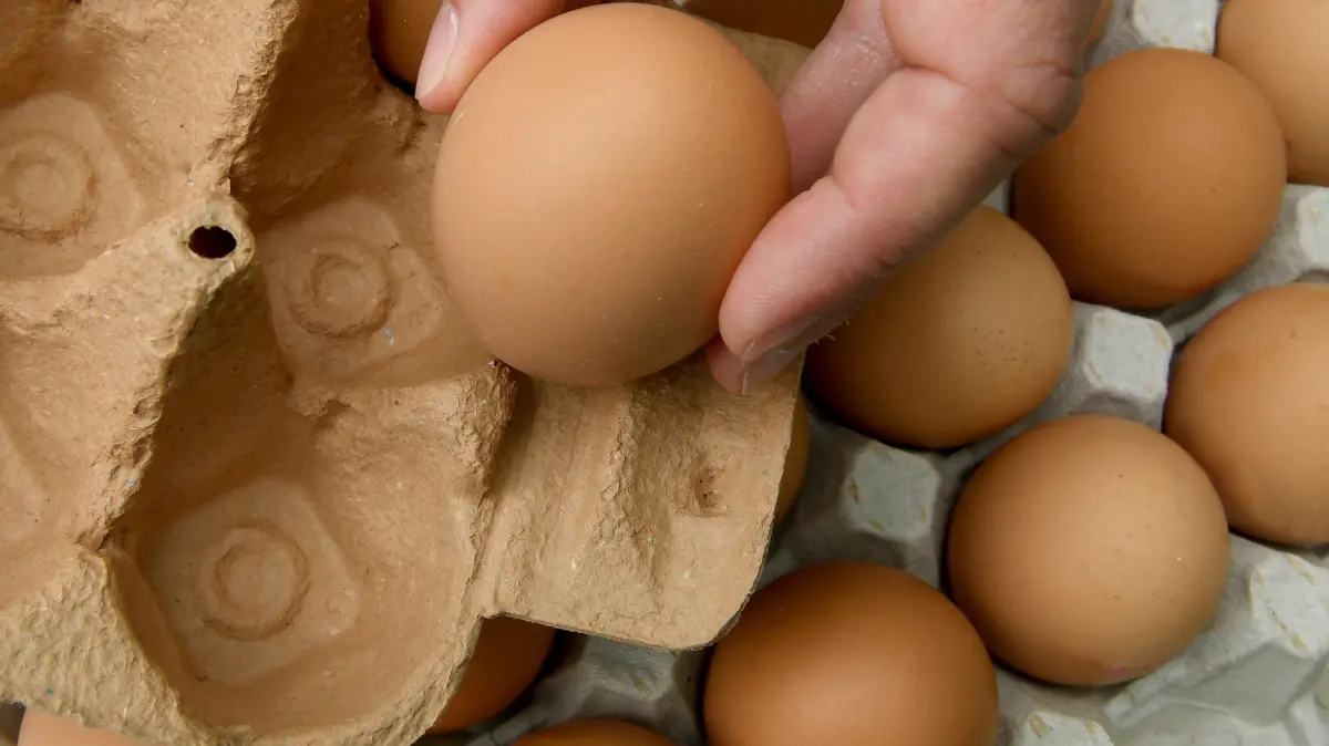 12.06.2018, Niedersachsen, Hannover: Eier werden von einer Palette in eine Pappschachtel verpackt. (zu dpa "Aufklärung nach erneutem Fund von Fipronil-Eiern angelaufen" vom 12.06.2018) Foto: Holger Hollemann/dpa +++ dpa-Bildfunk +++