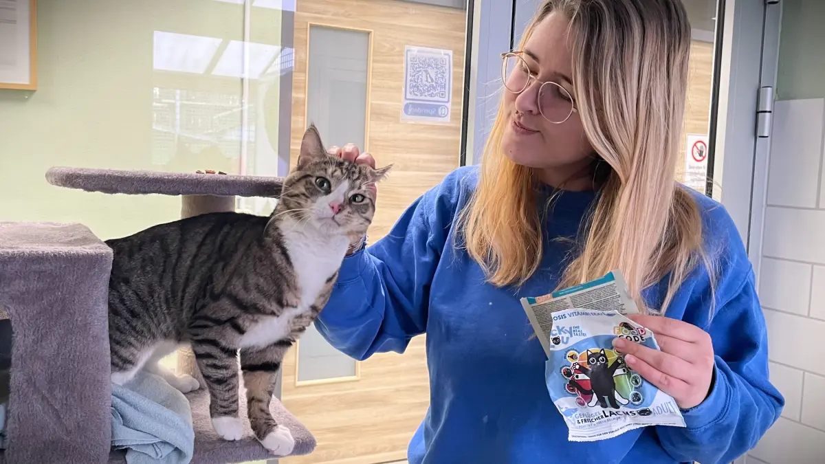 Denise Möbius, die stellvertretende Tierheimleiterin in Märkisch Buchholz, gehört im Tierheim Märkisch Buchholz inzwischen zum von Kater Copper erwählten Kreis der Menschen, die ihn anfassen dürfen.
