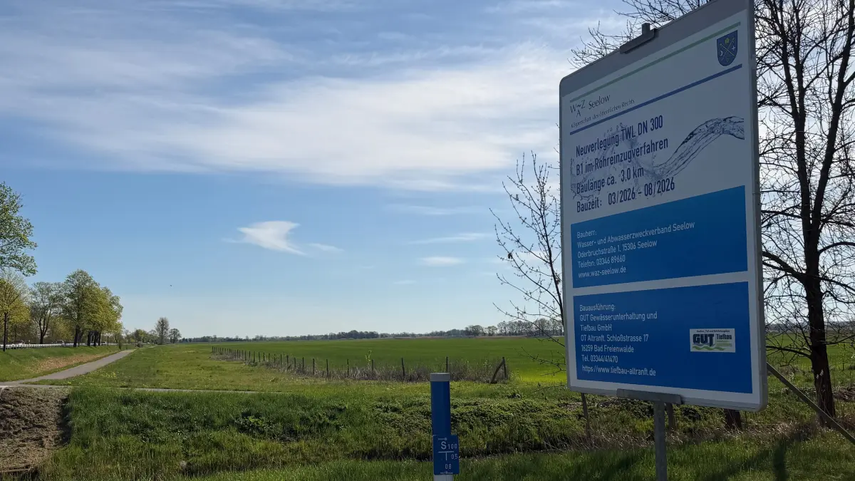 Beschreibung