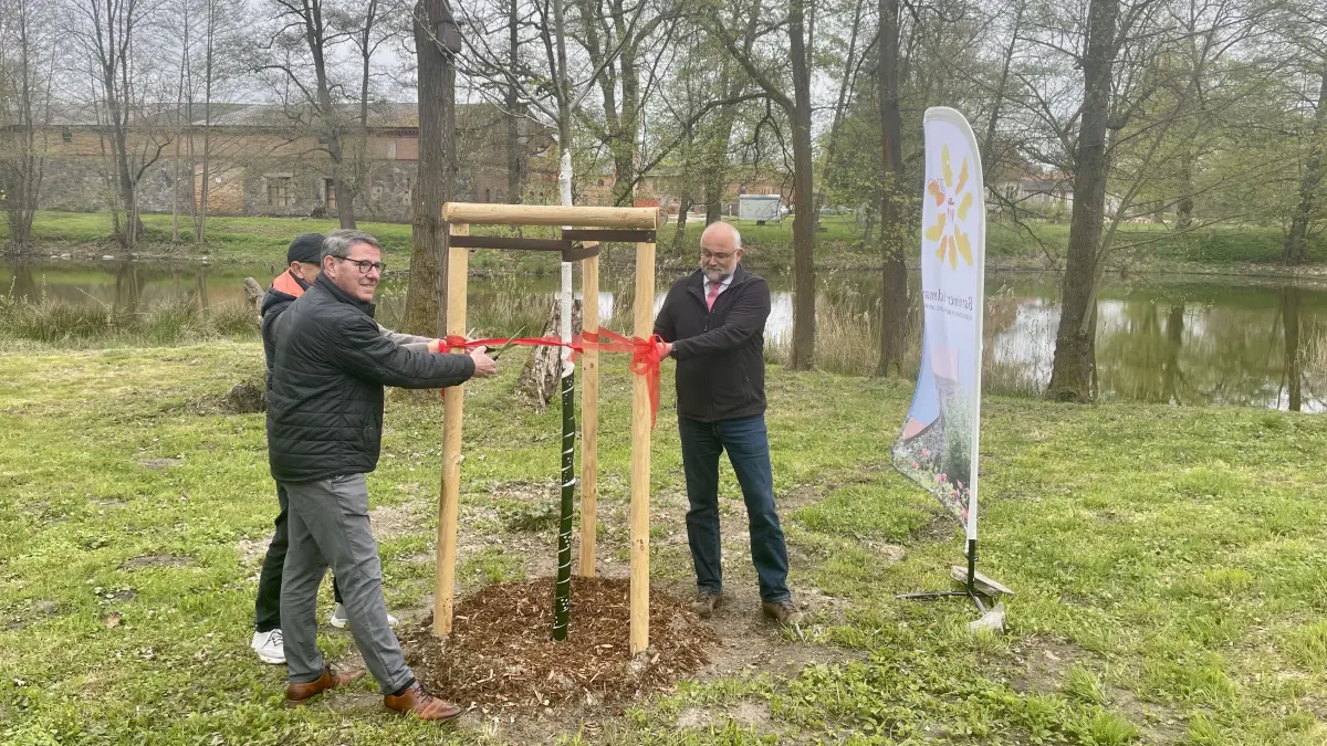 Bürgermeister André Stahl, Regionalpark-Vorsitzender Torsten Jeran und Landrat Daniel Kurth weihen im Schlosspark Börnicke den Baum des Jahres 2026 ein: eine junge Zitterpappel. Sie steht für mehr als neuen Schatten – für Wasser, Artenvielfalt und eine Landschaft unter Druck.