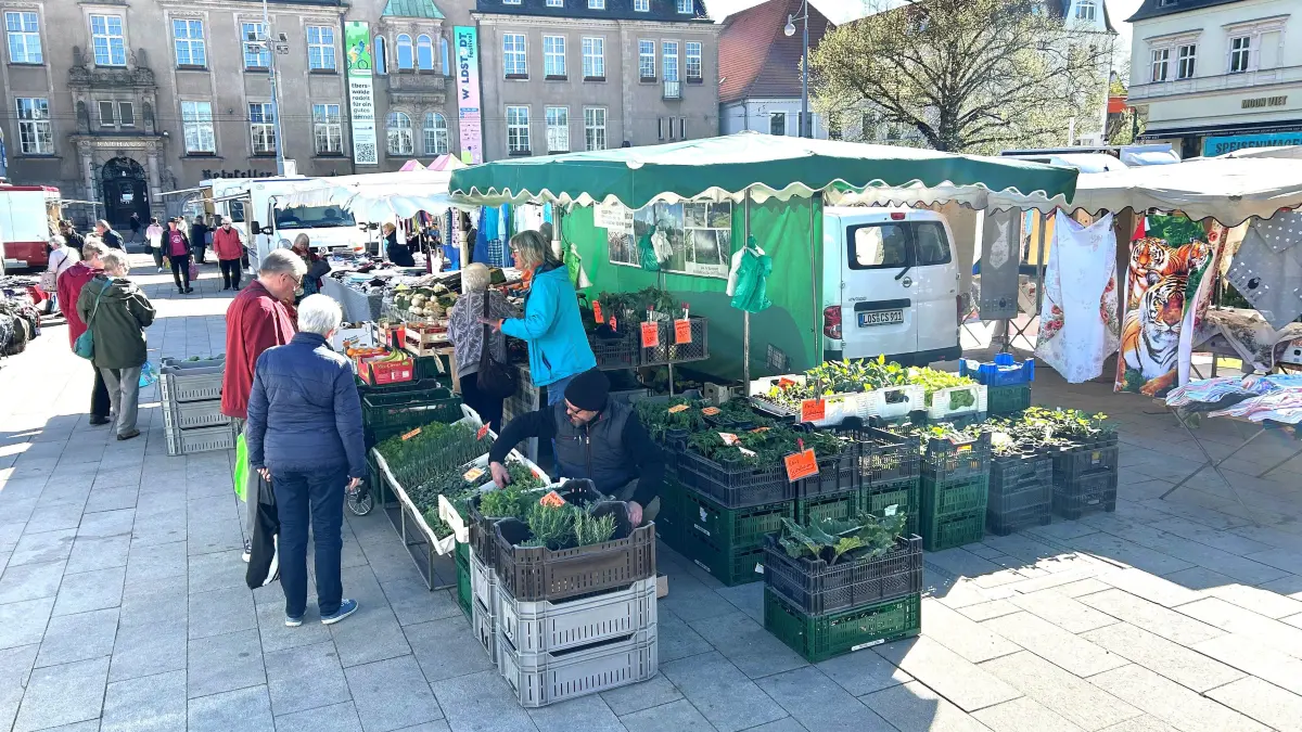 Wochenmarkt in Eberswalde: Dienstags und freitags stehen die fliegenden Händler im Stadtzentrum, wie auf diesem Foto zu sehen ist. Mittwochs sind sie auf dem Potsdamer Platz im Brandenburgischen Viertel anzutreffen.