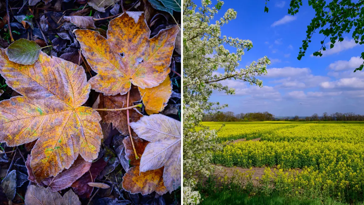 Tagsüber Sonnenschein und warme Temperaturen. Nachts kühlt es stark ab. Die Aussichten für das Wetter in Brandenburg.