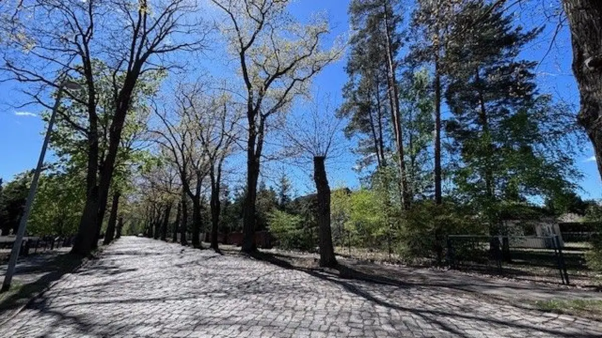Die Heinrich-Mann-Straße Schöneiche ist eine Allee mit Schatten spendenden alten Bäumen. Das mit zum Verkauf stehende Gartenhaus (rechts im Bild) stammt aus dem Jahr 1969.