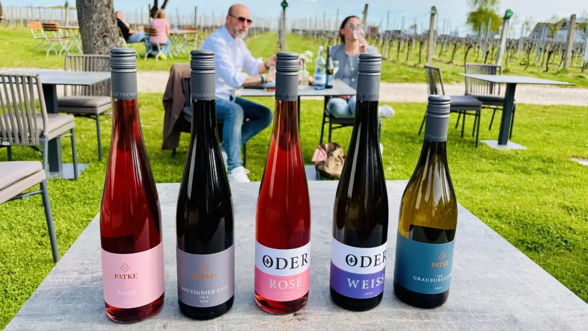 Weingut Patke in Pillgram bei Frankfurt (Oder) präsentiert den Jahrgang 2025. Die Winzer sind glücklich über die hervorragende Qualität der Weine.