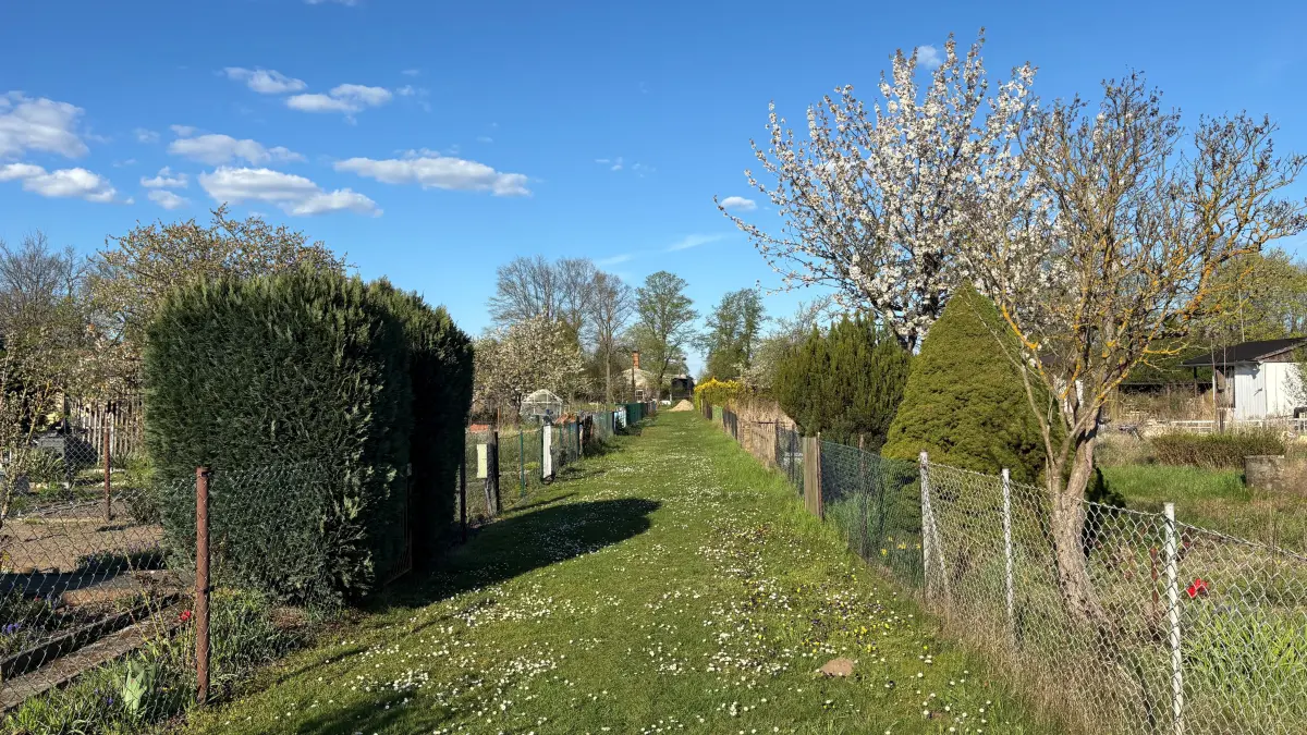 Die Kleingartenanlage „Am Schafdamm” liegt am Stadtrand von Forst in der Nähe der Eulower und Jamnoer Teiche. In Forst ist die Anzahl leerstehender Parzellen in Kleingartenanlagen sehr hoch.