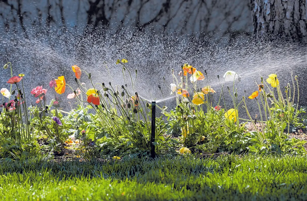 Ebenfalls im Gartentrend: Wasserversorgung der Pflanzen mit automatischen Beregnungssystemen im eigenen Außenbereich - ganz komfortabel und standortunabhängig via App regulierbar. ⇥Foto: epr/Rainpro