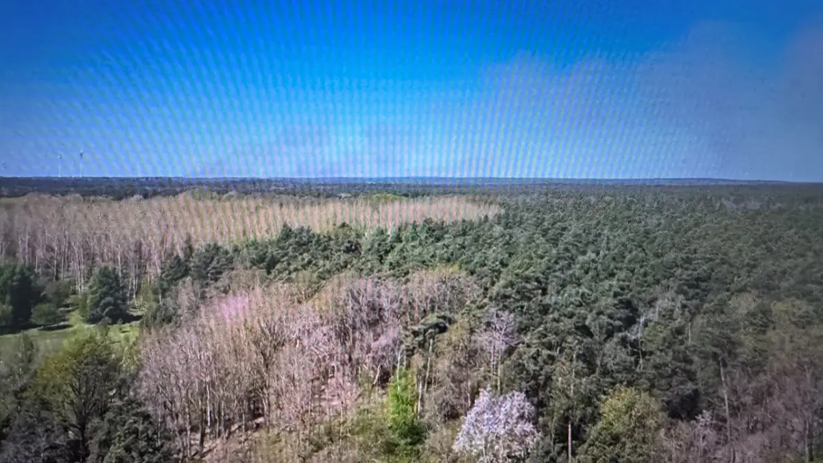 Waldbrand auf Truppenübungsplatz hat sich ausgebreitet