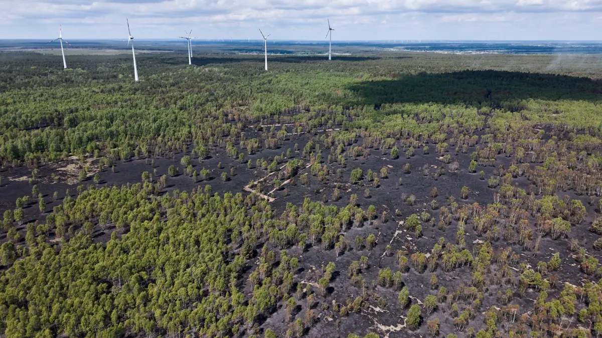 Weitere Entwicklung beim Waldbrand: 04.05.2026, Brandenburg, Jüterbog: Luftaufnahmen (Drohne) eines abgebrannten Waldbereichs bei Jüterbog, in dem es in den letzten Tagen gebrannt hat. Foto: Michael Ukas/dpa +++ dpa-Bildfunk +++