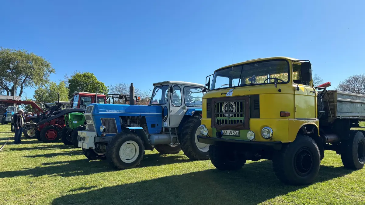 Beim ersten Oldtimer-Traktorentreffen in Haselberg waren zahlreiche Fahrzeuge aus der DDR dabei, darunter ein LKW des Typs W50 und Fortschritt-Traktoren.
