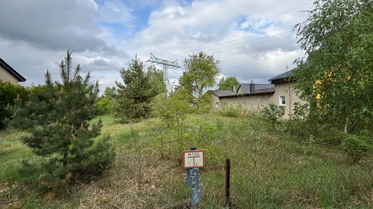 Blick ins Grundstück in Germendorf, das versteigert werden soll: Das unbebaute Areal ist mit Bäumen und Büschen bewachsen. Die Nachbargrundstücke sind bereits bebaut. Ein Erwerb birgt gewisse Risiken.