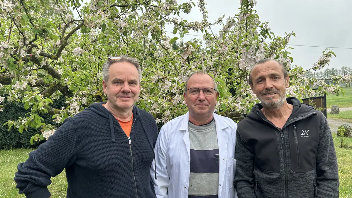 Die drei von der Ölmühle: Dirk Schwibbert, Andreas Müller und Frank Marienfeld (von links) stellen in Heiligengrabe Bio-Speiseöle her.
