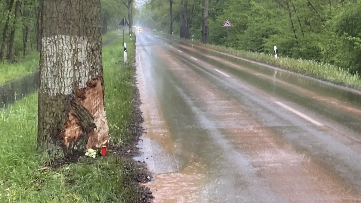 Überholvorgang mit deutlichen Spuren: Gegen diesen Baum ist der tödlich verunglückte Ford-Fahrer gekracht. Auf der Straße war noch einen Tag später über gut 100 Meter die überdeckte Ölspur zu sehen.