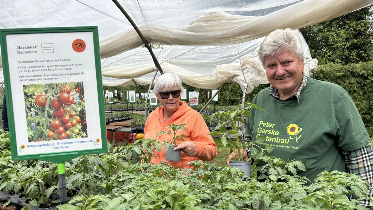 Extra aus Karlshorst ist Gabriela Lucius mit ihrem Mann Roland angereist, um Tomaten in Birkenwerder zu kaufen. Für eine reichliche Ernte hat sie sich Tipps vom Tomaten-Experten Peter Garske geholt. Der Gärtner hat 70 verschiedene Sorten, darunter auch Raritäten und DDR-Züchtungen, im Angebot.