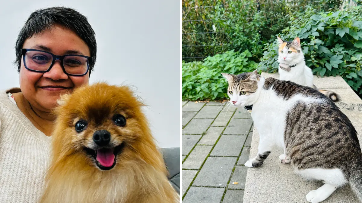 Yagna betreute in Berlin bereits Hunde und Katzen. Rechts sieht man ihre eigenen Katzen, die sie nach Deutschland mitgebracht hat.