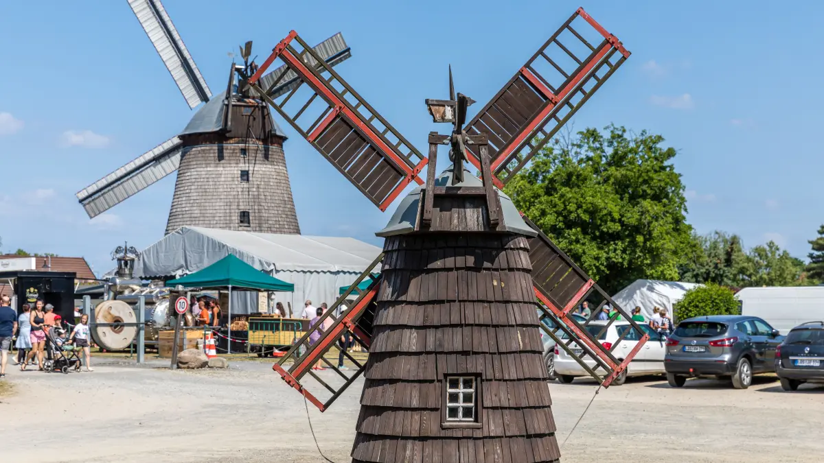 Ein Modell und die originale Holländerwindmühle stehen im Spreewaldort Straupitz hintereinander. Die Mühle hat am Pfingstmontag zum Deutschen Mühlentag eingeladen. Die Holländerwindmühle in Straupitz ist die letzte funktionierende Dreifachwindmühle Europas. Hier sind eine Korn- und eine Ölmühle sowie ein Sägewerk in Betrieb. Der gesamte Mühlenkomplex ist 2001/2002 saniert worden. +++ dpa-Bildfunk +++