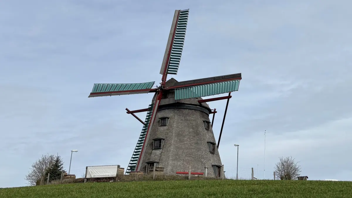 Die historische Mühle in Greiffenberg, ein Ortsteil von Angermünde, ist wieder ein Wahrzeichen in der Landschaft. Sie wurde bis ins kleinste Detail originalgetreu wiederaufgebaut und funktioniert wie früher. Hier wird an Schautagen Getreide zu Mehl gemahlen. Pfingsten findet hier der traditionelle Mühlentag statt.