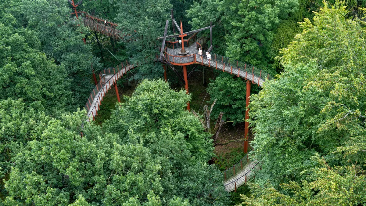 Der Baumkronenpfad im Tiergarten in der Nachbarschaft der tausendjährigen Eichen. +++ dpa-Bildfunk +++