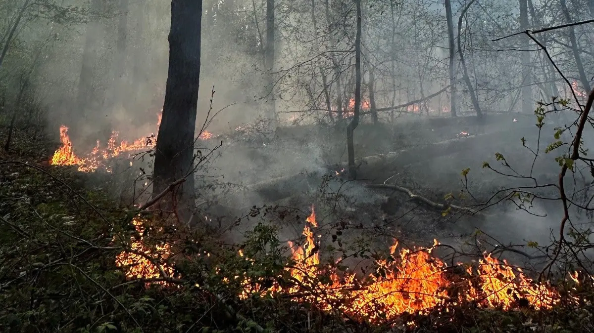 Waldbrand bei Angermünde: Wie vorbereitet sind die Angermünder und Schwedter Feuerwehren auf die laufende Waldbrandsaison?