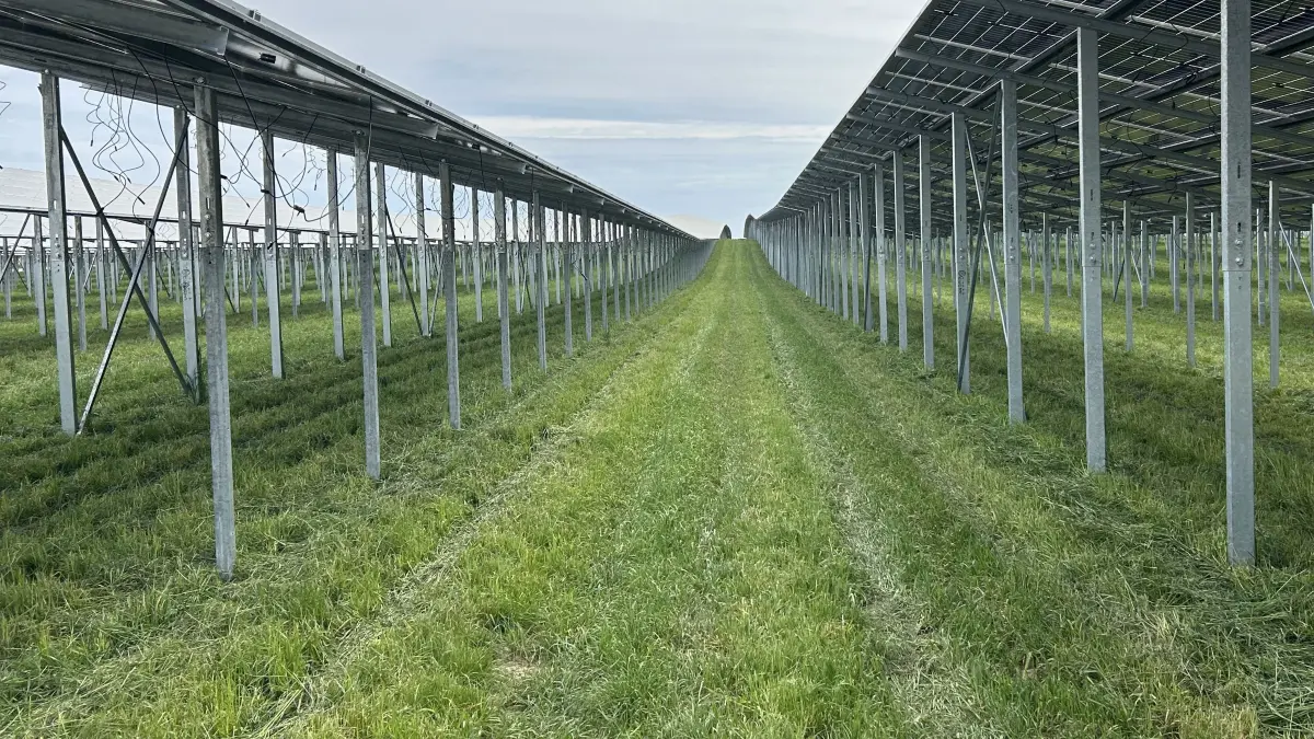 Die Solaranlage bei Heinersdorfd, Gemeinde Steinhöfel. Sie ist Teil der riesigen Agri-Solaranlage und geht bald ans Netz.