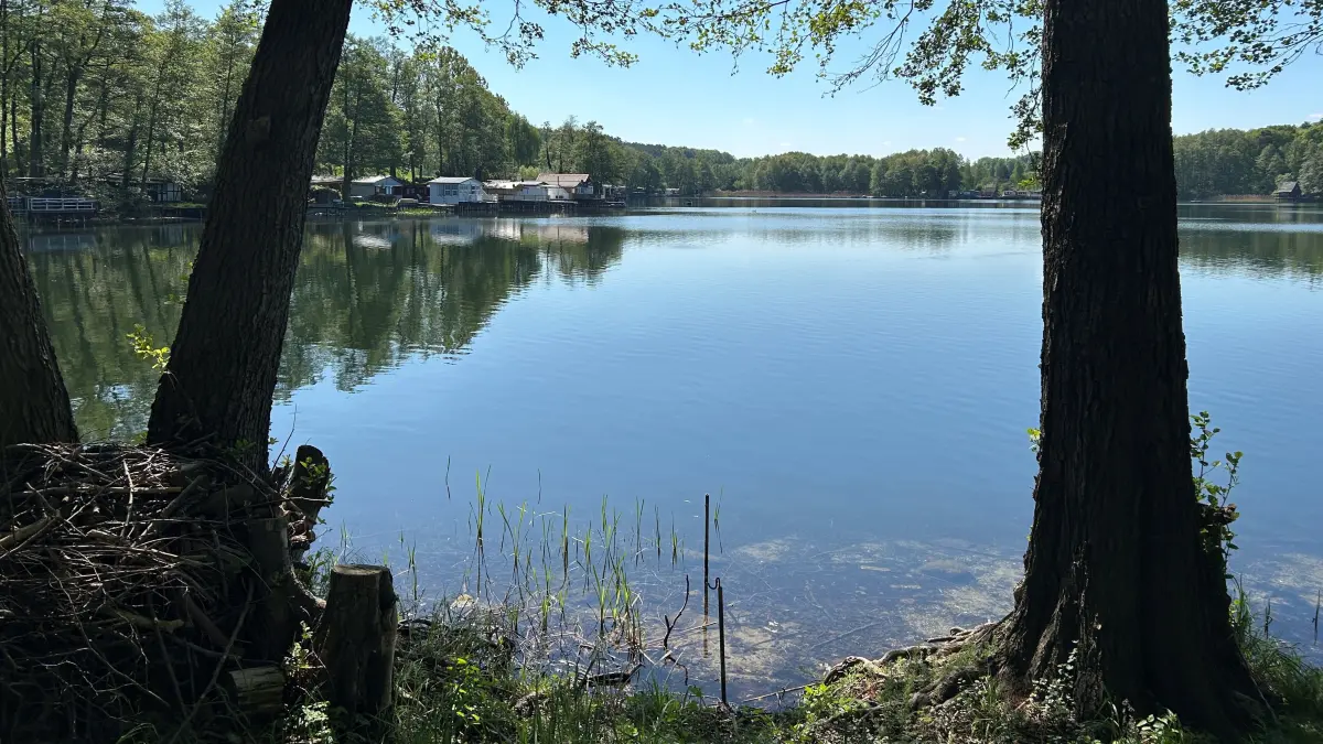 Die Dauercamper vom Wolletzsee öffneten sich den Angermünder Bürgern an ihrem Tag der offenen Tür. Dabei wurden offen über Zweifel an der geplanten Entwicklung des Strandbades Wolletzsee gesprochen.