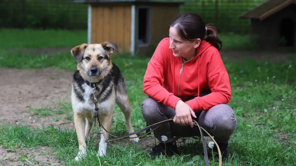 Hündin Ambra hat ihr ganzes Leben in Tierheimen verbracht. Tierpflegerin Maureen Piechowski hofft, dass die Vierbeinerin endlich ein eigenes Zuhause findet.