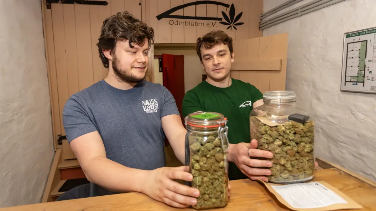 Samuel Baldzikowski (r.) und Tom Berthold mit der ersten Ernte Cannabis made in Frankfurt (Oder). Im kleinen Glas ist das, was kurzfristig abgegeben wird. Im großen Glas für die längere Lagerung wird die Luftfeuchtigkeit überwacht, damit das Cannabis nicht zu trocken wird.
