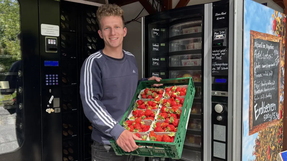Jost Neumann vom Obsthof Neumann in Frankfurt (Oder) füllt frische Erdbeeren auf. Es ist einer von bald zwei Automaten in der Stadt
