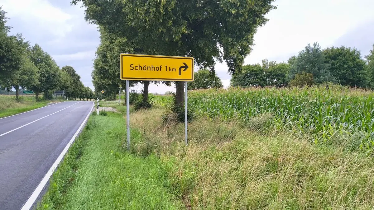Abzweig nach Schönholz: Etwa in diesem Bereich der Landesstraße 23 zwischen Golzow und Joachimsthal hat sich am 22. April der schwere Unfall ereignet, bei den eine 59 Jahre alte Frau ums Leben gekommen war,