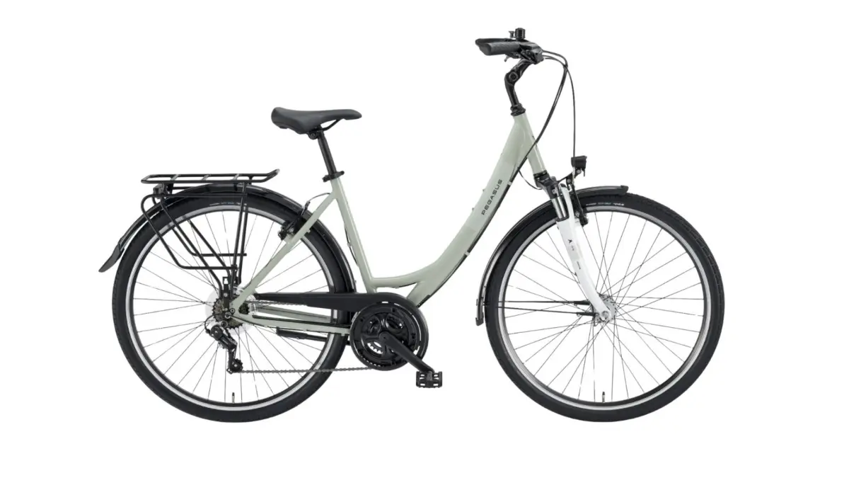 Pegasus Viale Trekkingrad Tiefeinsteiger grün