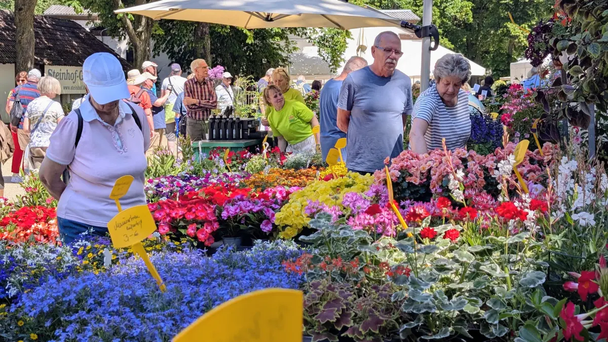 Trendfarbe „bunt“ der Gartenmesse auf der Rennbahn Hoppegarten: Bei der Eggersdorfer Gärtnerei Kolbinger sind kräftige Farben und der „blaue Paul“ besonders gefragt.