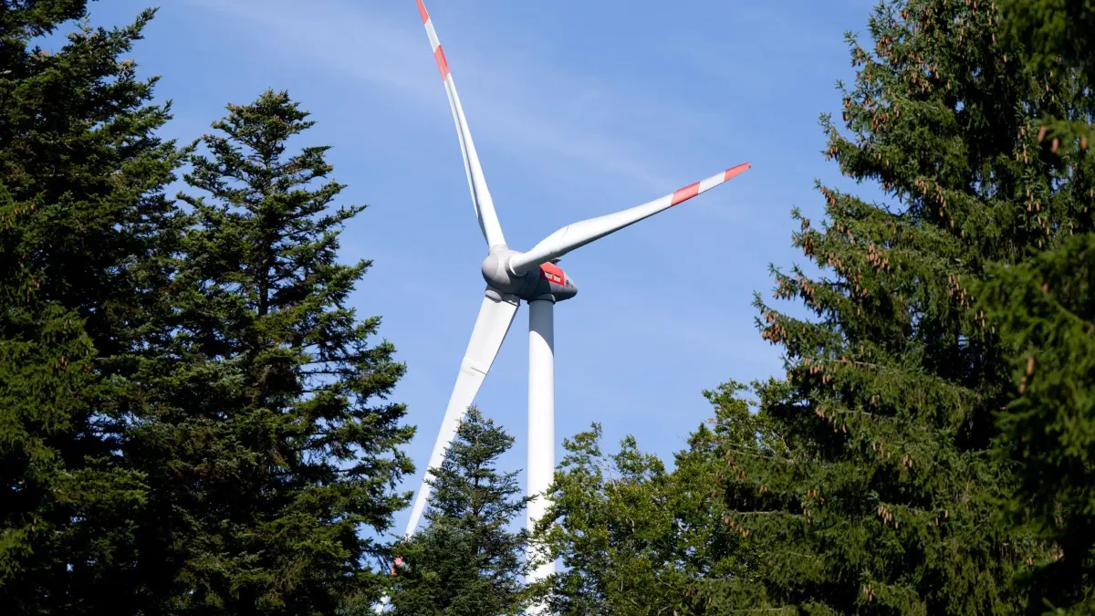 Pilotprojekt zur Begrünung von Windenergiestandorten: ARCHIV - 03.09.2025, Bayern, Berg: Ein Windrad ist während der Vorstellung von einem Pilotprojekt für die Begrünung von Windenergiestandorten zu sehen. In dem Projekt an zwei Windenergieanlagen soll die Möglichkeit zur Begrünung und ökologischen Aufwertung von Windenergiestandorten im Wald gezeigt werden. (zu dpa: «Jäger warnen vor Windrädern im Thüringer Wald») Foto: Sven Hoppe/dpa +++ dpa-Bildfunk +++