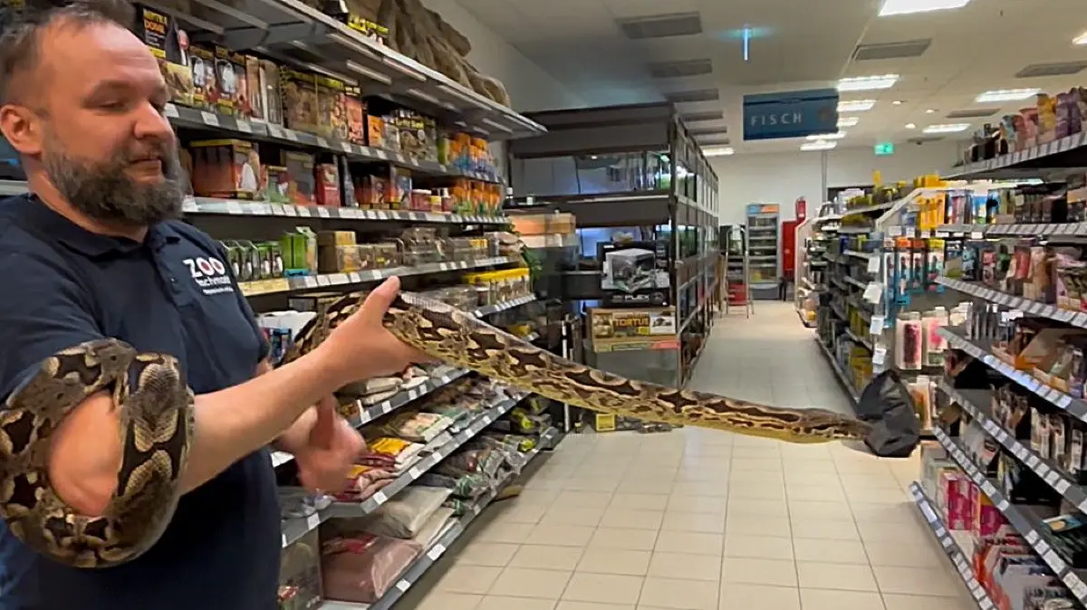 Spezielles Angebot in Erkner: Seit Februar gibt es im City Center in der Friedrichstraße einen neuen Markt für Tier&Tierbedarf. Gerade sind einige Exoten angekommen.
