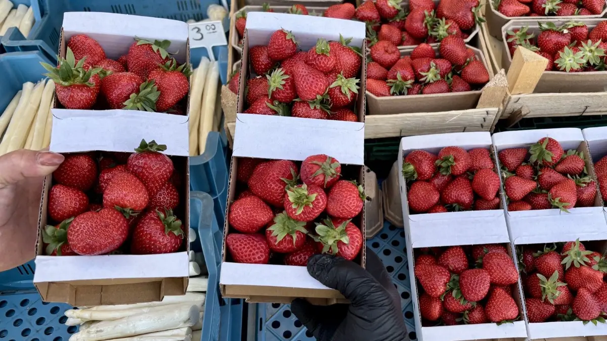 Erdbeeren haben Saison. Auch auf dem Polenmarkt in Slubice.