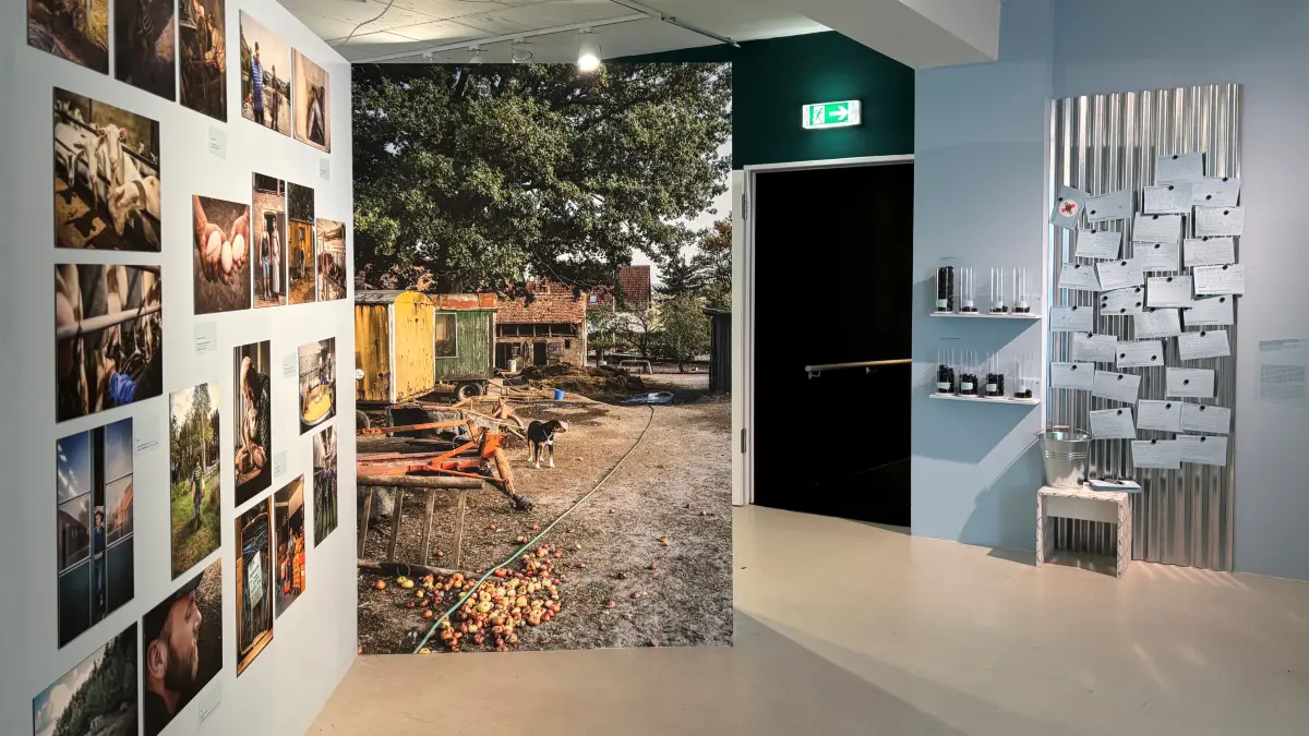 Materialreich: Blick in die Ausstellung „Cruising the Countryside – Queeres Leben auf dem Land“ im Schwulen Museum Berlin. In der Schau stellen sich auch zahlreiche queere landwirtschaftliche Betriebe, unter anderem aus Brandenburg, vor.