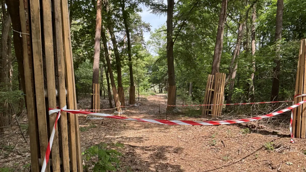 Die Trasse für den Radweg an der B 168 ist frei. Wie geht es weiter?