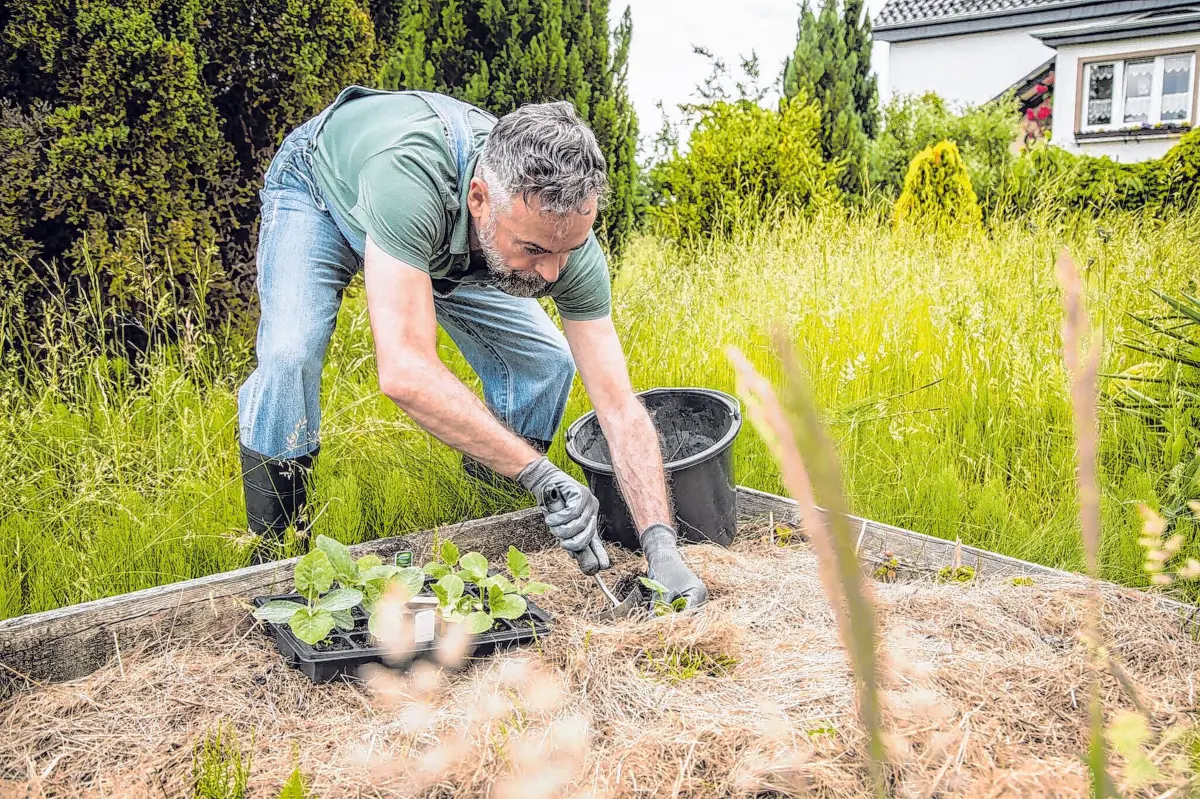 Die - freiwillige - Arbeit mit Erde tut erwiesenermaßen unserer Seele und den Nerven gut. ⇥Foto: Christin Klose/dpa-mag