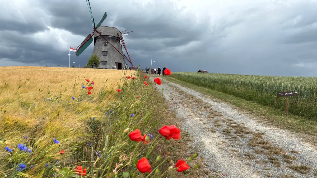 Die wiederaufgebaute Erdholländermühle in Greiffenberg, einem Ortsteil von Angermünde, zieht nicht nur historisch und technikbegeisterte Besucher an. Sie ist erstmals auch romantische Location für eine Hochzeit.