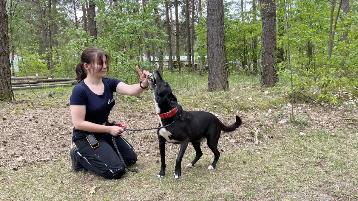 Hat Molly erst einmal Vertrauen gefasst, genießt sie die Nähe zu ihren Menschen, erklärt Celina Kirchner aus dem Tierheim Märkisch Buchholz.
