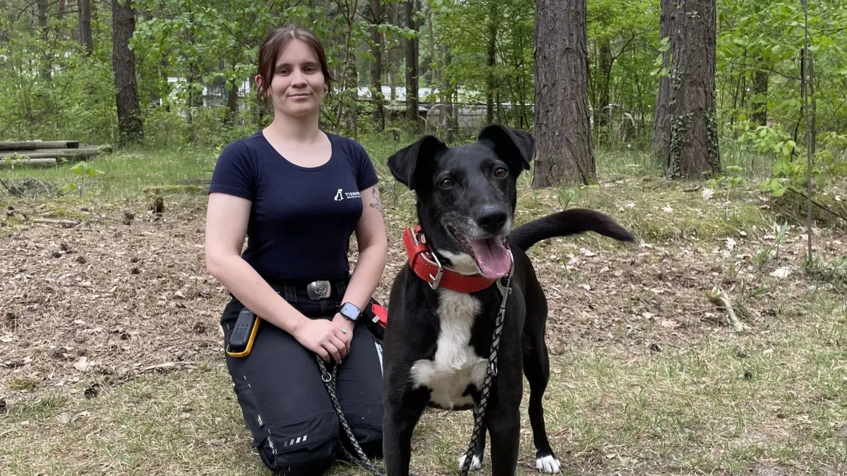 Trubel und Hektik möge Molly nicht, bestätigt die angehende Tierpflegerin im Tierheim Märkisch Buchholz, Celina Kirchner. Gebe man ihr jedoch etwas Zeit, merke man schnell, dass in Molly eine ganz liebe und brave Hündin stecke.