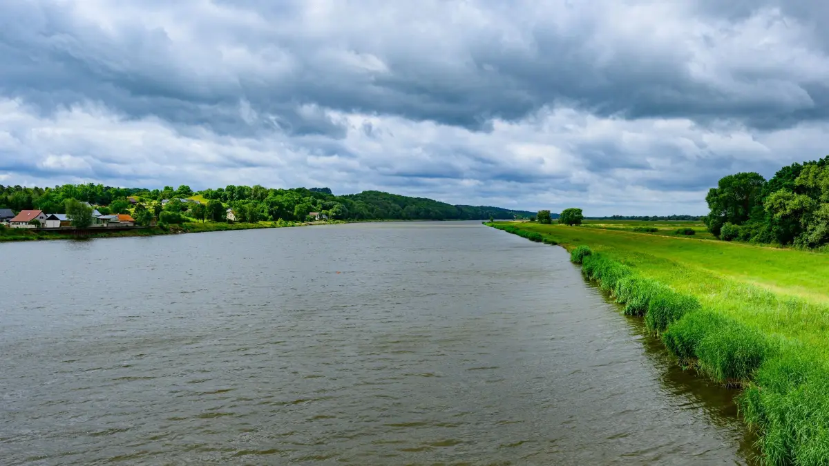 Forschungsergebnisse zum Fischsterben in der Oder übergeben: 15.06.2026, Brandenburg, Schwedt/Oder: Blick von einer Brücke auf den deutsch-polnischen Grenzfluss Oder im Nationalpark Unteres Odertal. Am selben Tag wurde in Schwedt vom Leibniz-Institut für Gewässerökologie und Binnenfischerei (IGB) ein Bericht über die zentralen Forschungsergebnisse zum Fischsterben im Fluss Oder an Carsten Schneider (SPD), Bundesminister für Umwelt, Klimaschutz, Naturschutz und nukleare Sicherheit, übergeben. Im August 2022 waren auf einer Strecke von mehr als 300 Flusskilometern schätzungsweise 1.000 Tonnen Fische, Großmuscheln und weitere Organismen verendet. Ursache war die massive Vermehrung der giftigen Brackwasseralge Prymnesium parvum. Seitdem haben Forschende im Sonderuntersuchungsprogramm zur Umweltkatastrophe in der Oder unter Federführung IGB die ökologischen Folgen sowie die Regeneration des Ökosystems untersucht. Foto: Patrick Pleul/dpa +++ dpa-Bildfunk +++