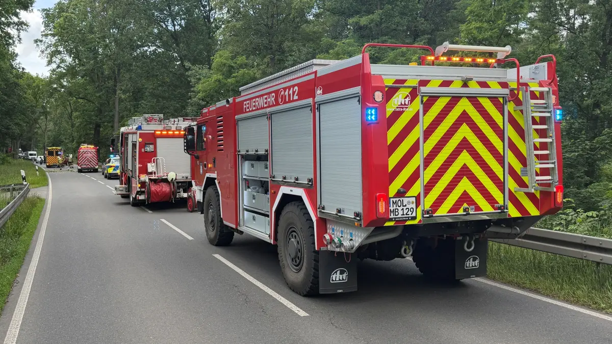 B168 bei Müncheberg: Ein Auto ist in einen herabstürzenden Ast gerast. Dabei wurde der Fahrer verletzt.