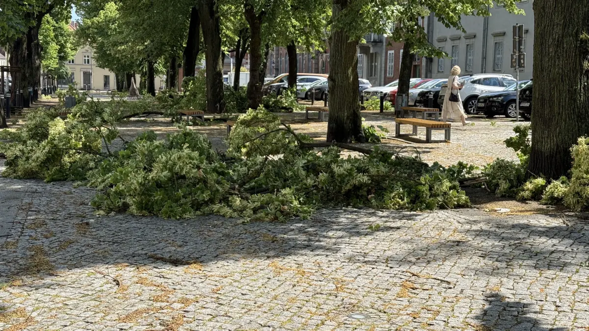 Abgebrochene Äste im Innenstadtgebiet.