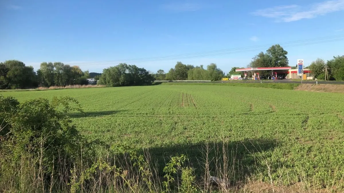 Noch ein Feld: Der Rewe-Markt soll an der B158 in Bad Freienwalde gegenüber der Esso-Tankstelle gebaut werden. Mit welchen Zugeständnissen die Investoren der Stadt entgegenkommen.
