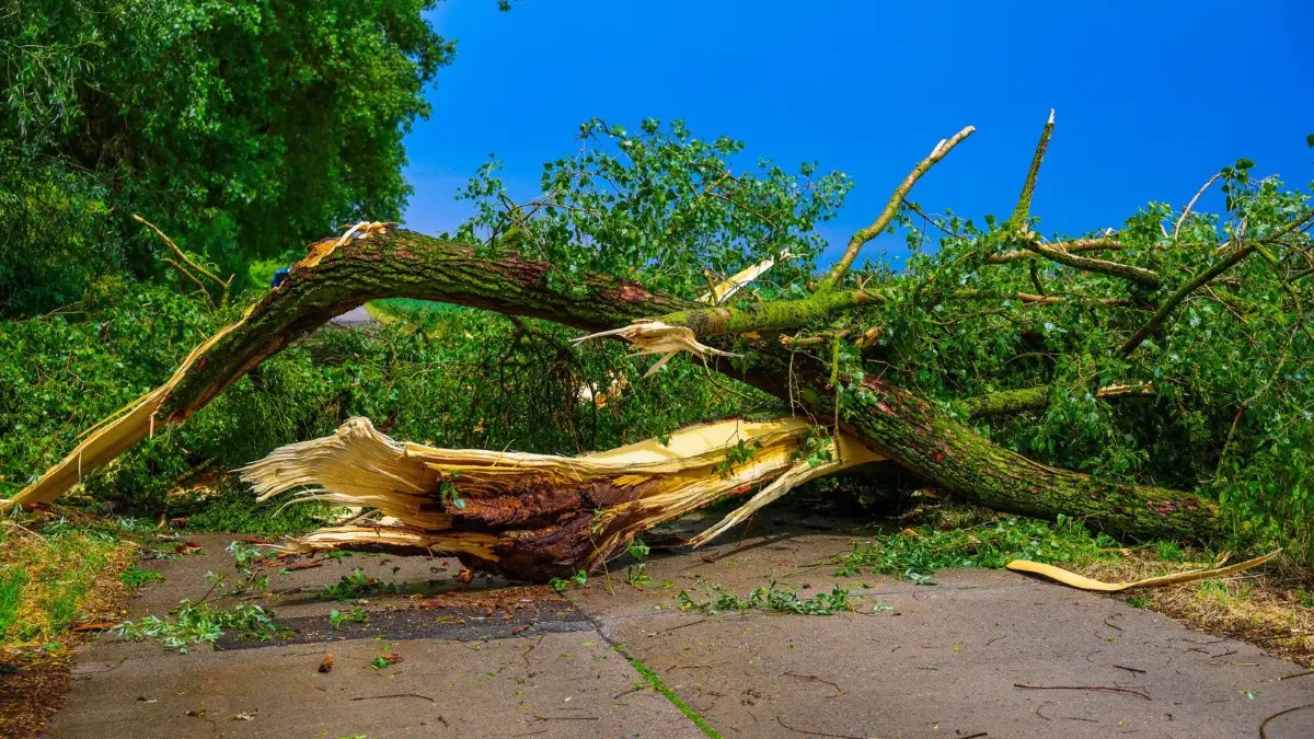 Unwetter sorgte am Sonntag, 21. Juni, für gesperrte Straßen in Gransee und Zehdenick. Welche weiteren Folgen es gab.