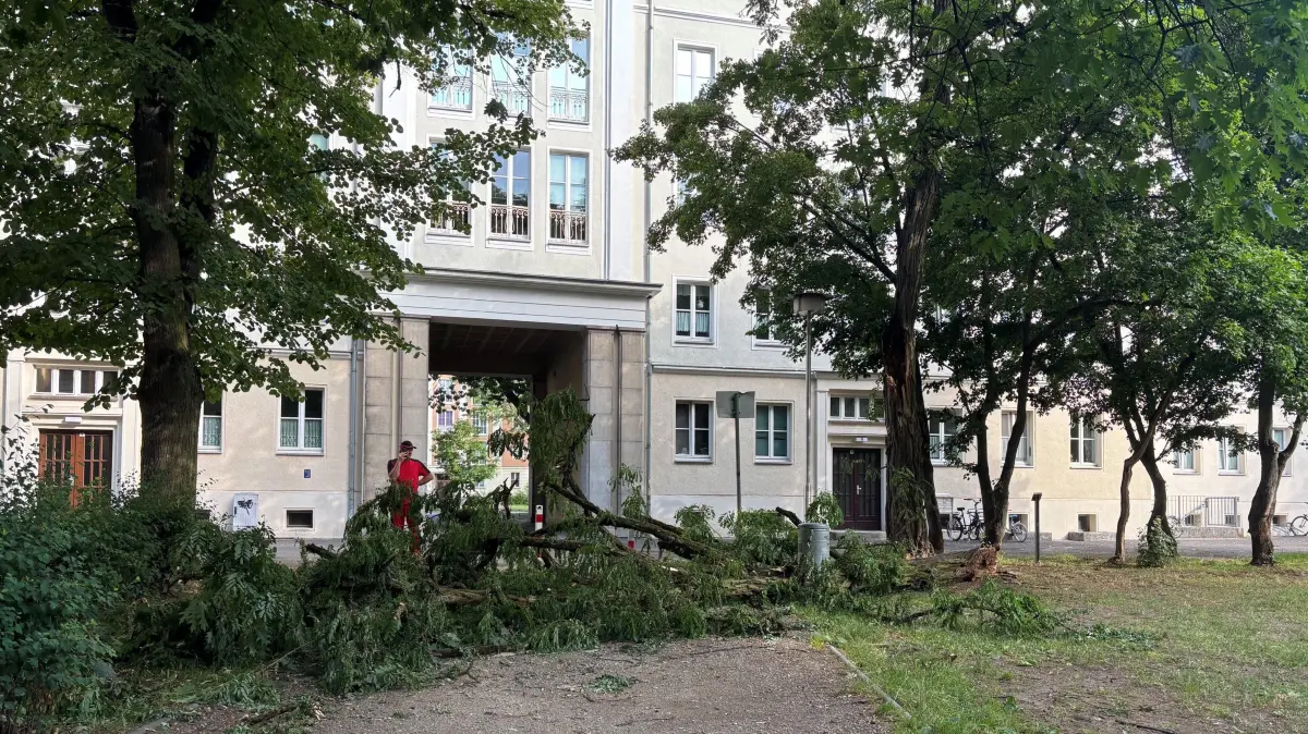 Teil eines Baumes durch Sturm abgebrochen ... Pawlowallee
