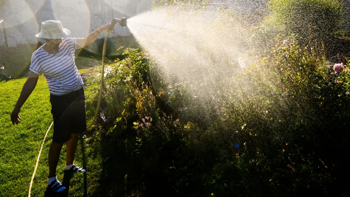 Neue Preise für Wasser beim WSE Strausberg-Erkner: Eine Variante zielt darauf, nur das Gartenwasser zu verteuern.